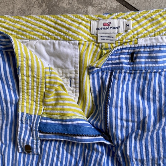 Vineyard Vines Blue White Stripe Pants - Picture 4 of 6